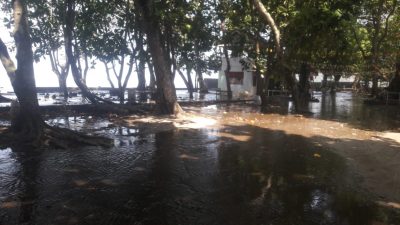 Banjir Pasang Pantai Selatan Menyapu Sepanjang Pesisir Pangandaran Sampai Pantai Sayang Helang